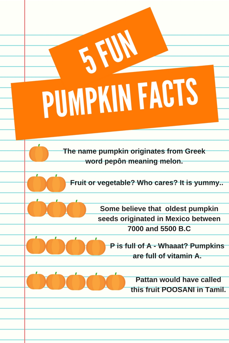Five Fun Pumpkin Facts – Kids Zone